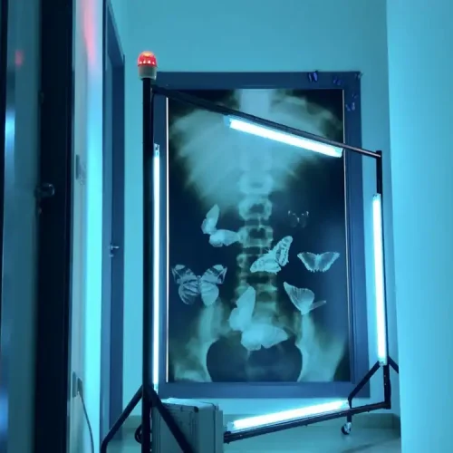 1759121752037-IMG-8608